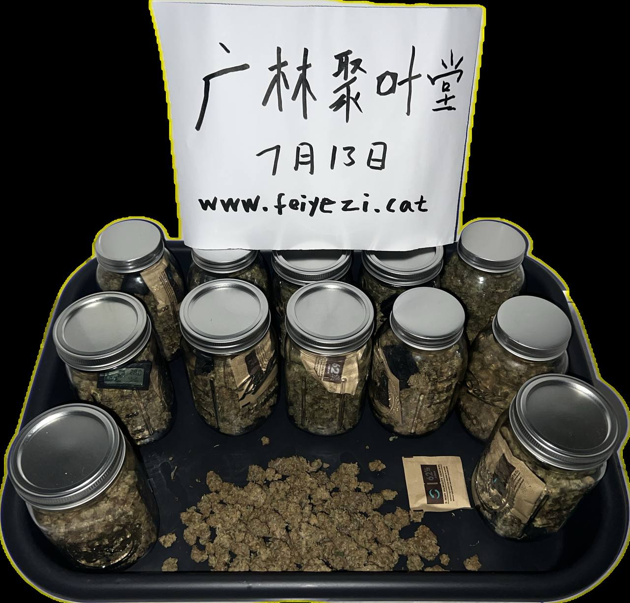 【长春】国产大猩猩